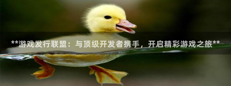 蓝狮子经理人读后感：**游戏发行联盟：与顶级开发者携手，开启精彩游戏之旅**