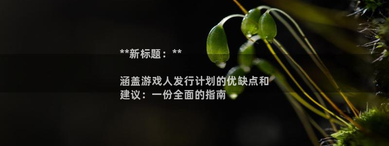 蓝狮电商怎么样：**新标题：**

涵盖游戏人发行计划的优缺点和
建议：一份全面的指南