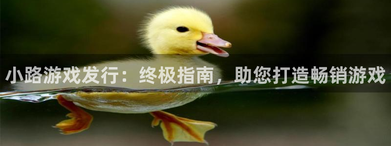 蓝狮在线客服电话是多少：小路游戏发行：终极指南，助您打造畅销游戏
