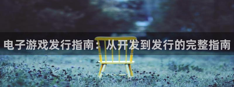 蓝狮在线怎么注册账号：电子游戏发行指南：从开发到发行的完整指南