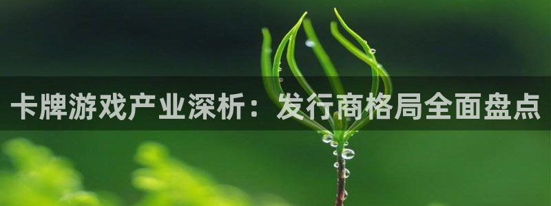 蓝狮在线登录注册失败怎么回事：卡牌游戏产业深析：发行商格局全面盘点