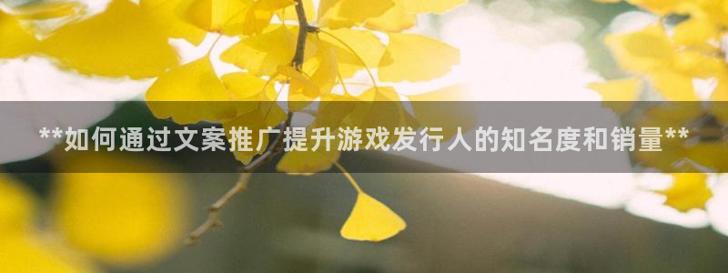 蓝狮在线是境外的吗：**如何通过文案推广提升游戏发行人的知名度和销量**
