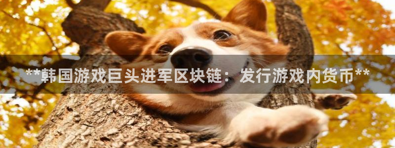 蓝狮电子商务有限公司招聘