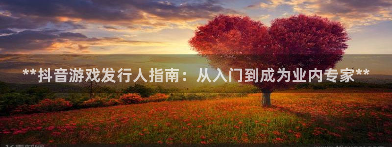 蓝狮子财经丛书有哪些：**抖音游戏发行人指南：从入门到成为业内专家**