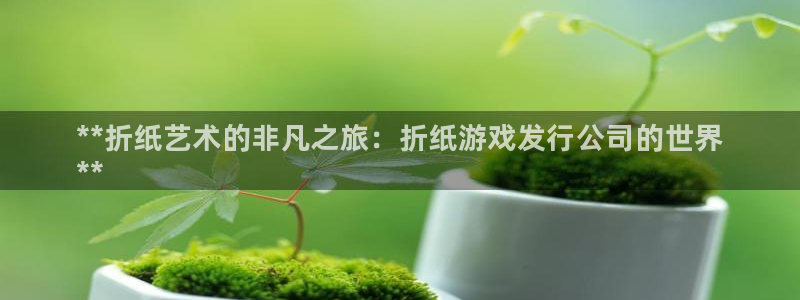 蓝狮电子商务怎么样