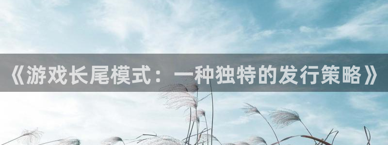 蓝狮在线登录注册不了：《游戏长尾模式：一种独特的发行策略》