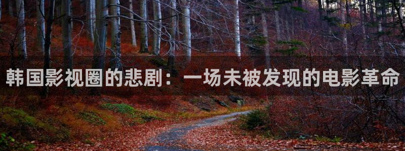 熊猫电影yy8y5