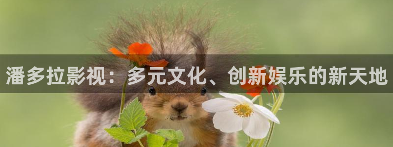 熊猫影视在线观看：潘多拉影视：多元文化、创新娱乐的新天地