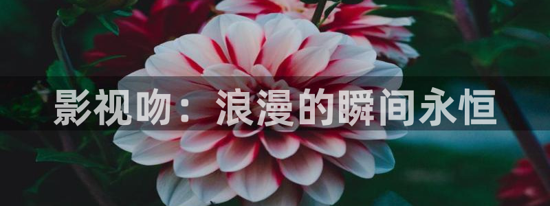 熊猫电影在线观看