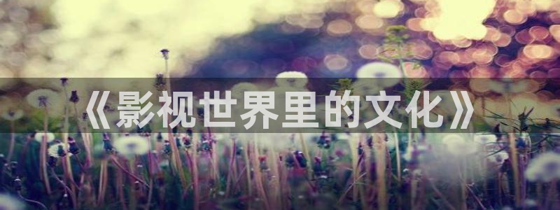 电影大熊猫：《影视世界里的文化》