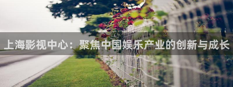 关于熊猫的电影：上海影视中心：聚焦中国娱乐产业的创新与成长