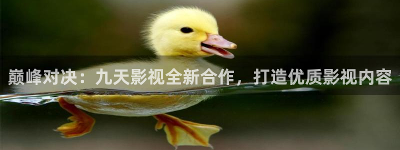 熊猫在线电影：巅峰对决：九天影视全新合作，打造优质影视内容