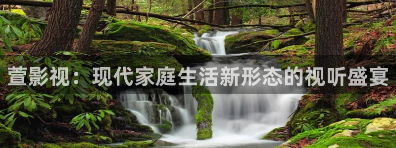 熊猫电影网站