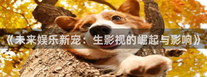 我是大熊猫电影