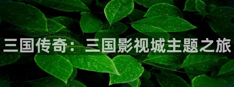 熊猫酒店在哪