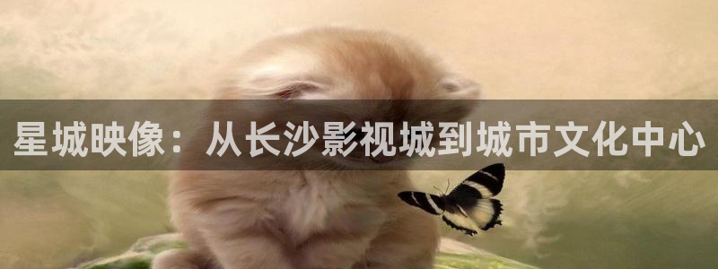 熊猫影院在线观看