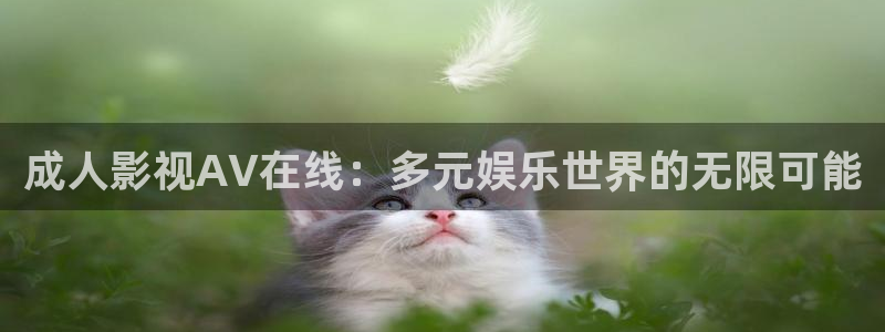 熊猫的价格是多少：成人影视AV在线：多元娱乐世界的无限可能