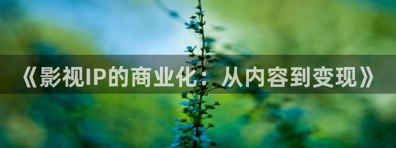 熊猫电影网在线观看完整版