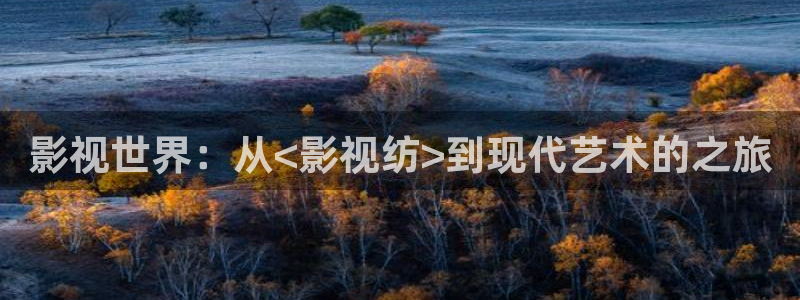 熊猫电影yy8y8免费看哪里：影视世界：从<影视纺>到现代艺术的之旅