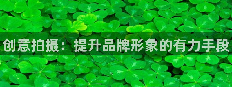 熊猫影院免费观看完整版：创意拍摄：提升品牌形象的有力手段