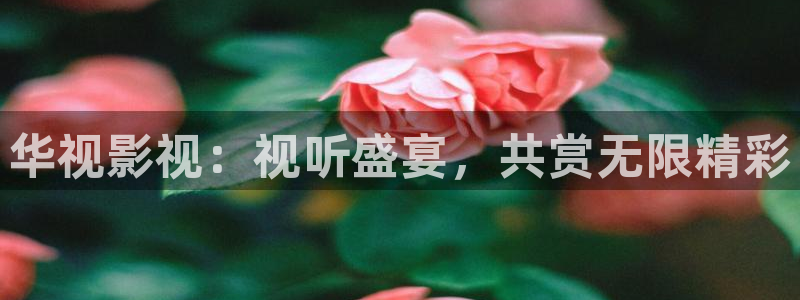 熊猫电影yy8y1